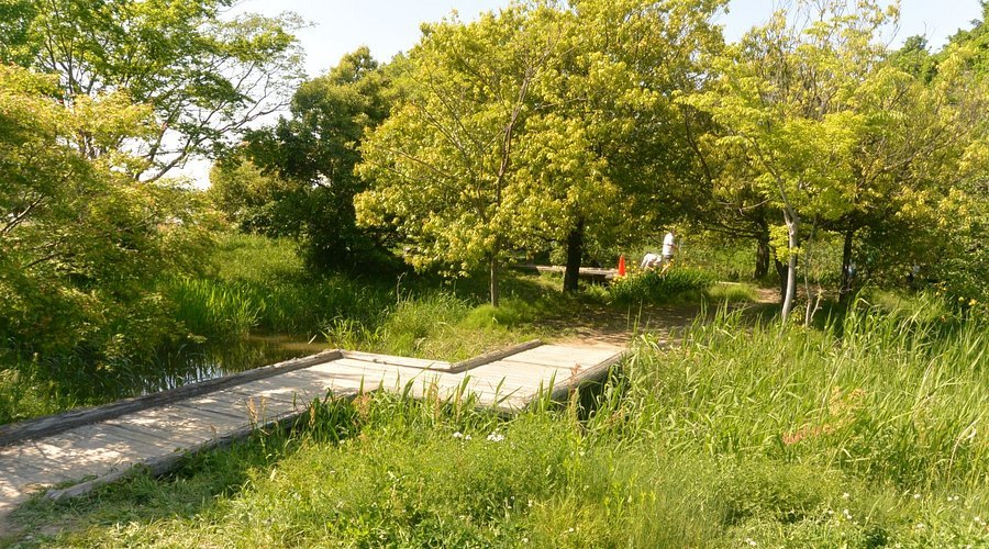 🏞️ 이와쿠라시 자연생태원(이와쿠라시 시젠세이타이엔) 이미지 1